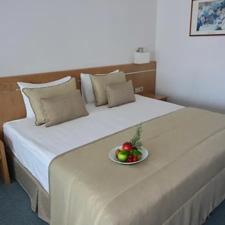 昂图尔切什梅大酒店 酒店