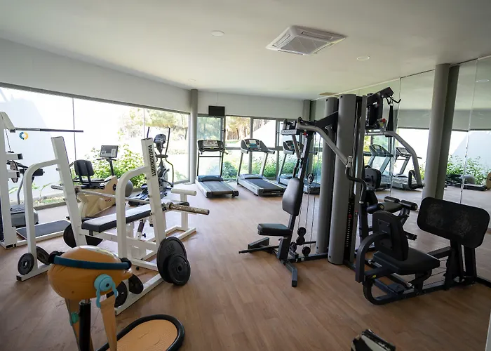 غراند أونتور سيسمي